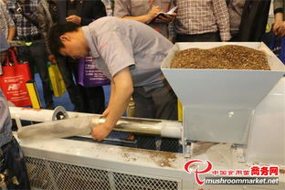 2014中國鄭州全國食用菌新產(chǎn)品新技術(shù)博覽會 引領(lǐng)食用農(nóng)產(chǎn)品研發(fā)新風(fēng)向