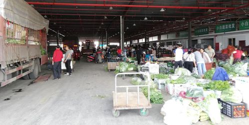 當(dāng)好廣元人民的菜籃子，川陜甘農(nóng)產(chǎn)品交易中心 從集散樞紐到研發(fā)引擎的蝶變